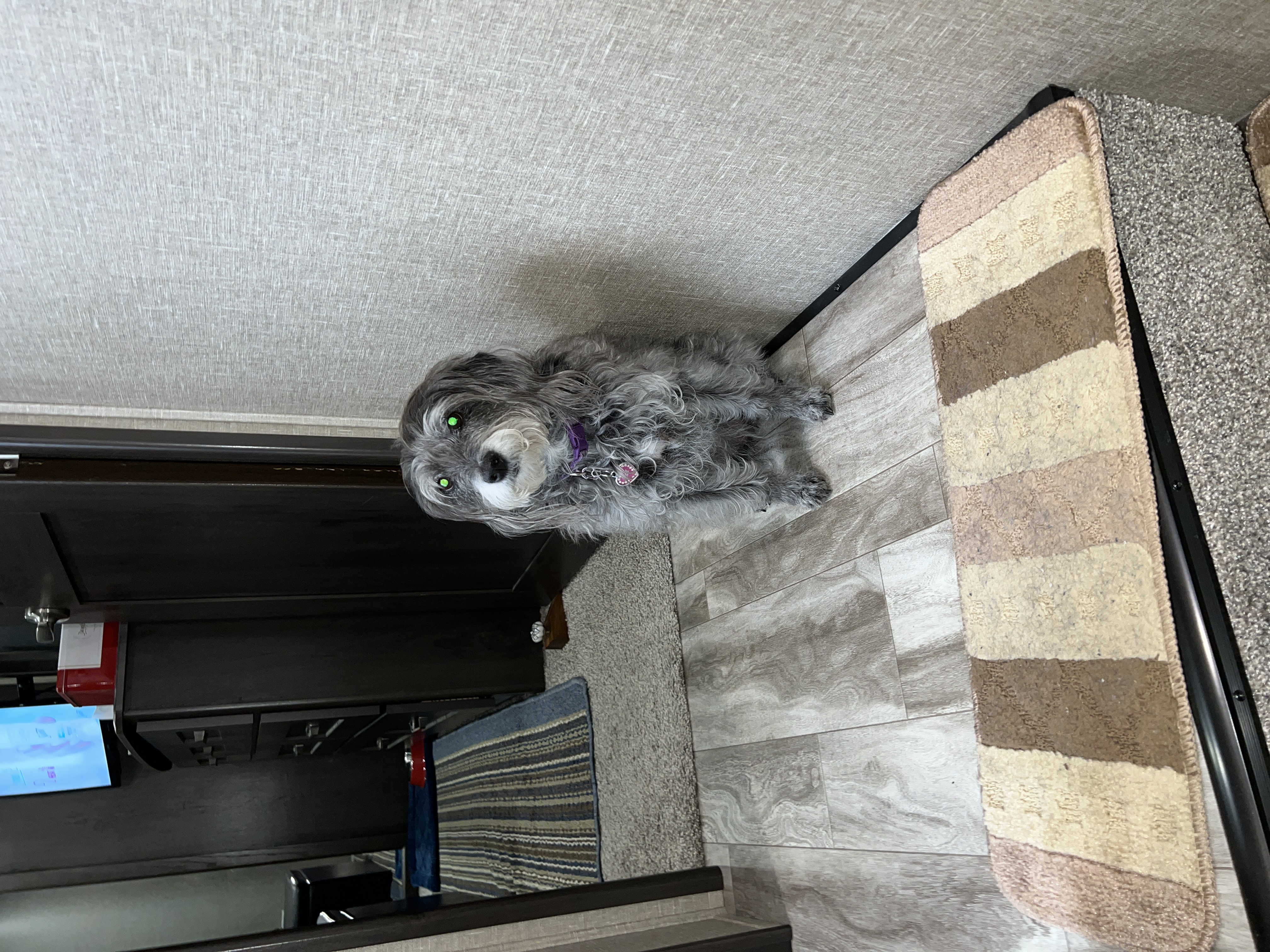 ./2024/12 - Thanksgiving/IMG_3946.JPG